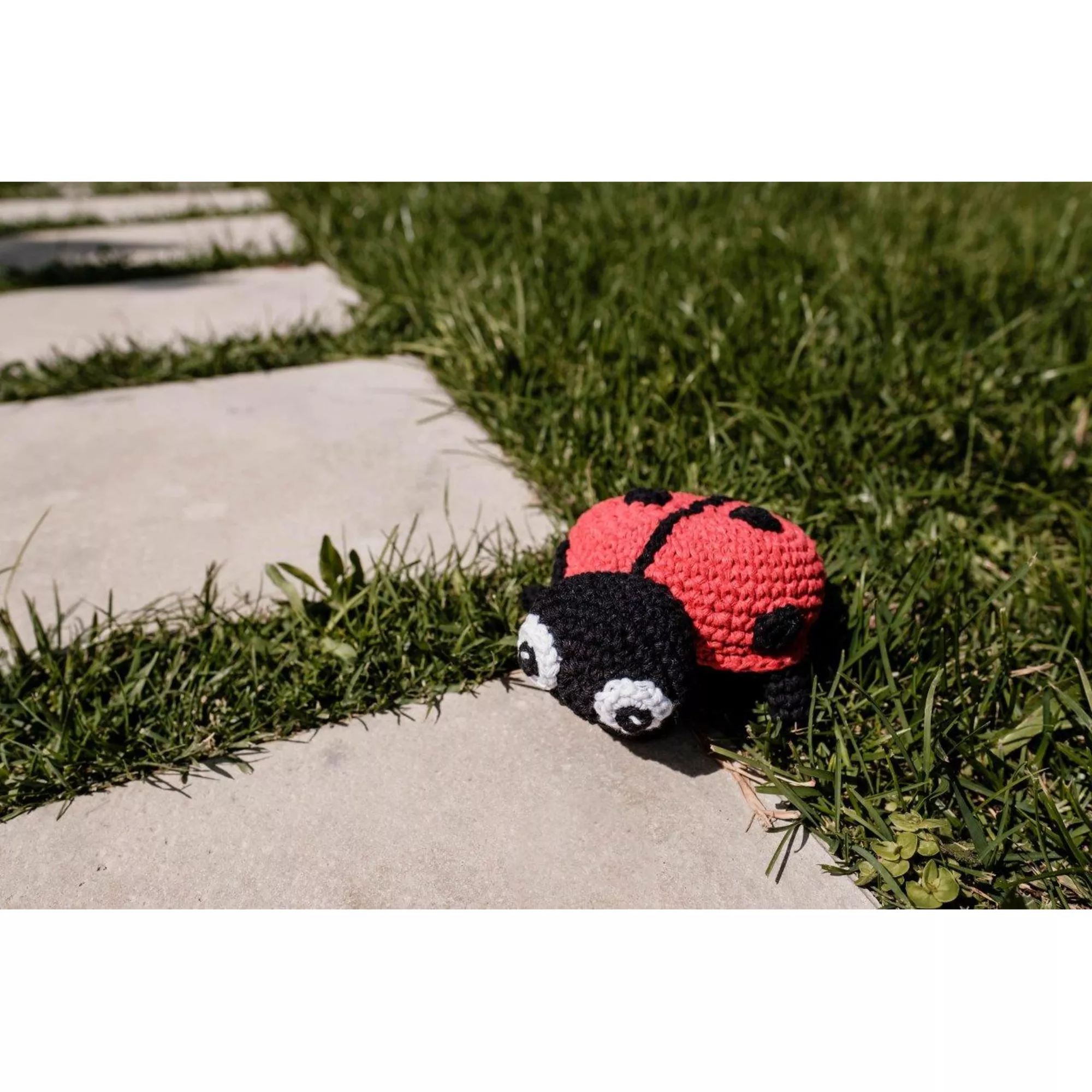 Hoooked DIY Häkel-Set, Eco Barbante, Ladybird Daisy