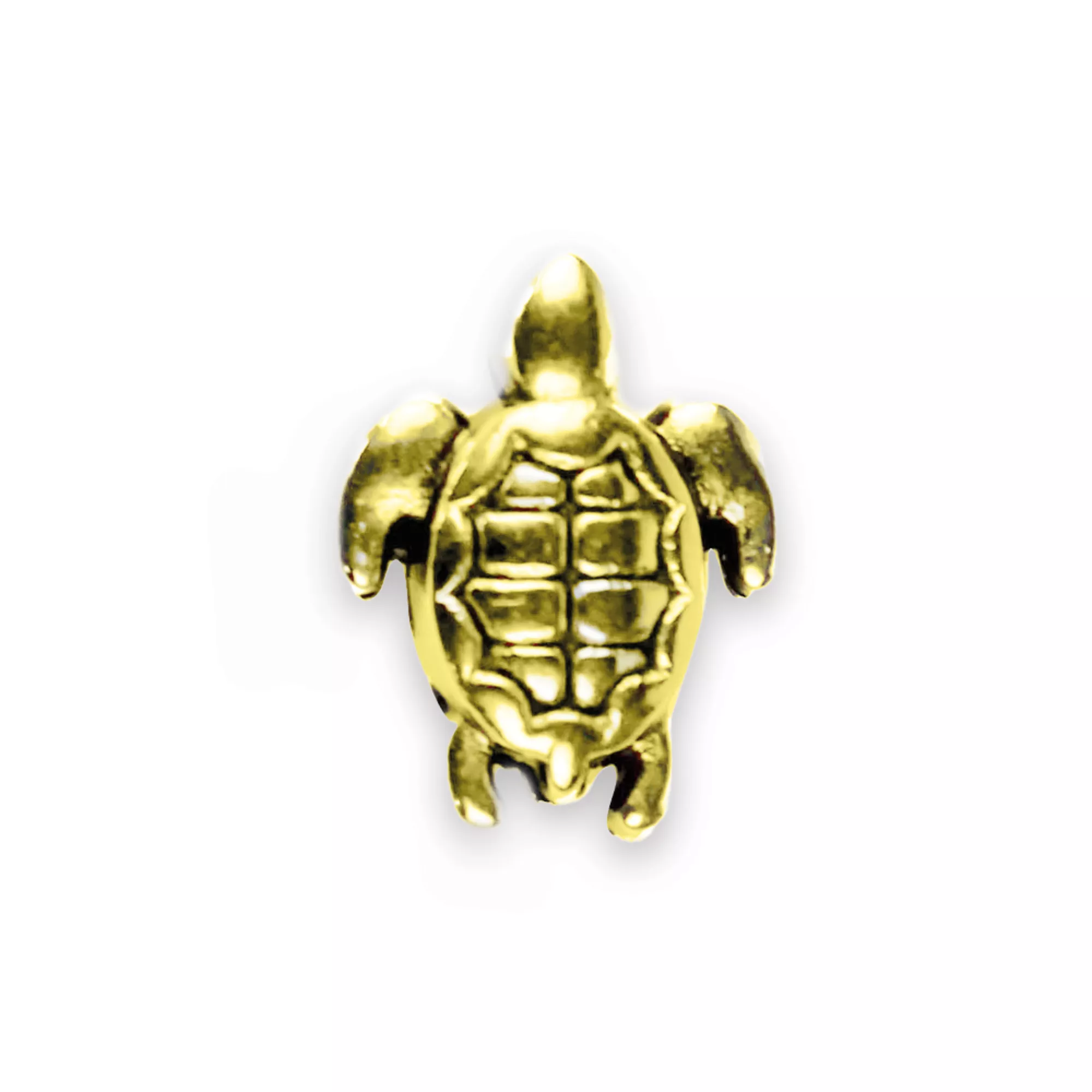 Pracht Metallperlen Schildkröte 24K vergoldet