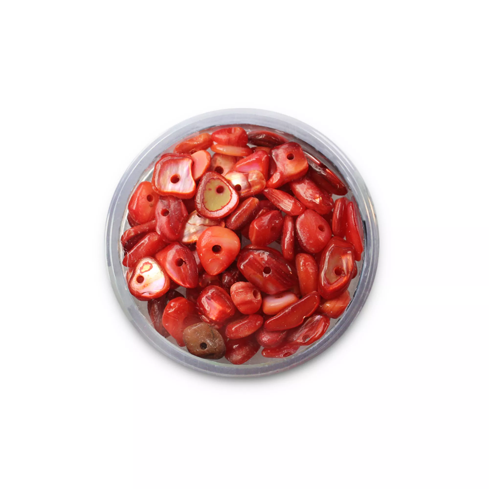 Pracht Muschelperlen rot